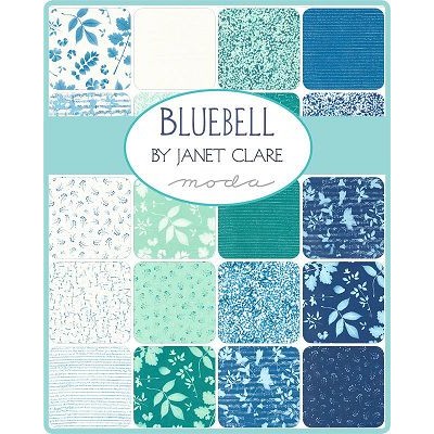 2024.01 Bluebell Janet Clare